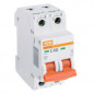 Автоматический выключатель ВА 47-29 С 2Р 40А    TDM SQ0206-0097