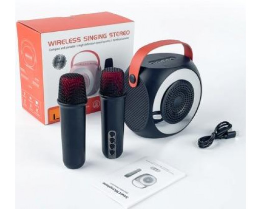 Портативная колонка караоке L2  (2 микрофона, подсветка, Bluetooth 5.3, USB, microSD, Type-C, AUX, 10W)