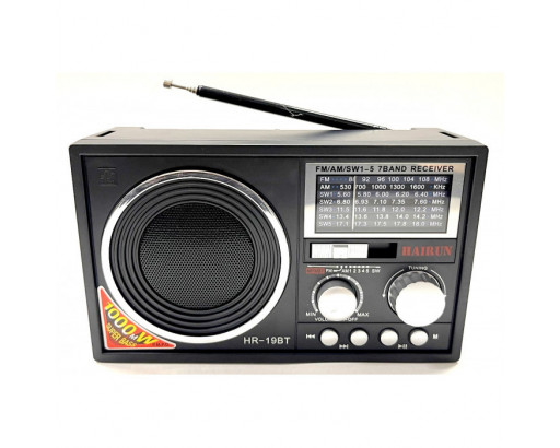 Радиоприёмник Hairun HR-19BT (Bluetooth,USB, SD, фонарь, акк.18650, 220V)