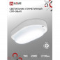 Светильник накладной LED СПП-1565-ОВАЛ 15W  220V 6500К 1350Лм IP65 160х88 IN HOME 4958
