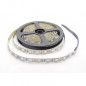 Лента 12v IP20 RGB+ХОЛОДНЫЙ белый 14,4W/m КАТУШКА 5м SMD5050 60LED/м (GLS-5050-60-14.4-12-IP20-RGB+6) General