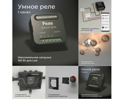 Wi-Fi Умное реле 1 канал 2300W 46x46х18 до 200м черный IP20  76006/00 Elektrostandart a059324