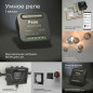 Wi-Fi Умное реле 1 канал 2300W 46x46х18 до 200м черный IP20  76006/00 Elektrostandart a059324